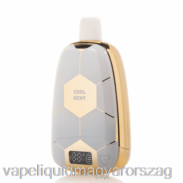 Ronaldinho 10 15k Eldobható Hideg Menta Vape Toll